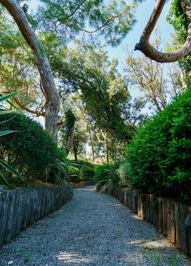Appartamenti & Villa Il Delfinetto San Vincenzo Exteriér fotografie